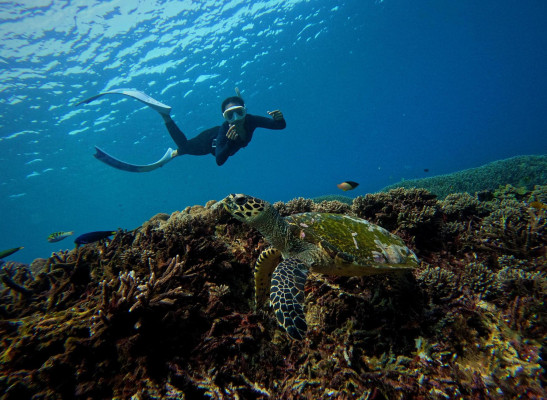 PACKAGE E SNORKELING TRIP FROM NUSA LEMBONGAN TO NUSA PENIDA ISLAND