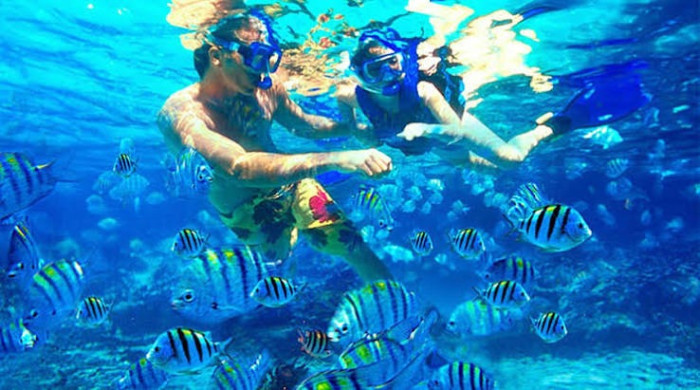 Padangbai Snorkeling Private Boat & Camera Documentation