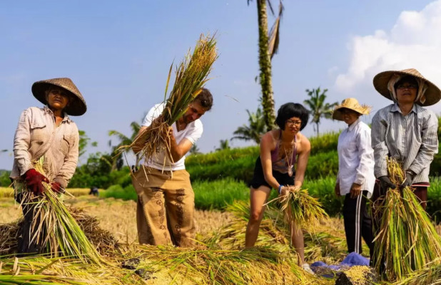 Participation in Farming Activities