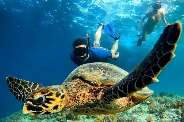 Private Snorkeling Trip Gili Trawangan