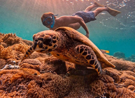 Private Snorkellng During 8 Hours