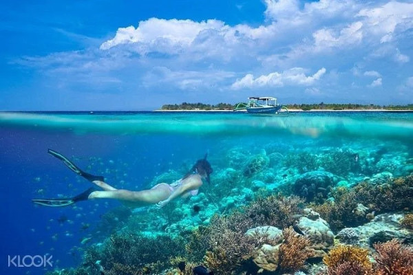 Private Sunset Snorkling Trip 4 hours