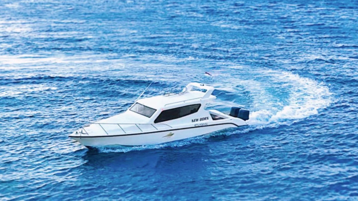 Private Yacht 8 Hours Full Day Trip Nusa Penida / Lembongan