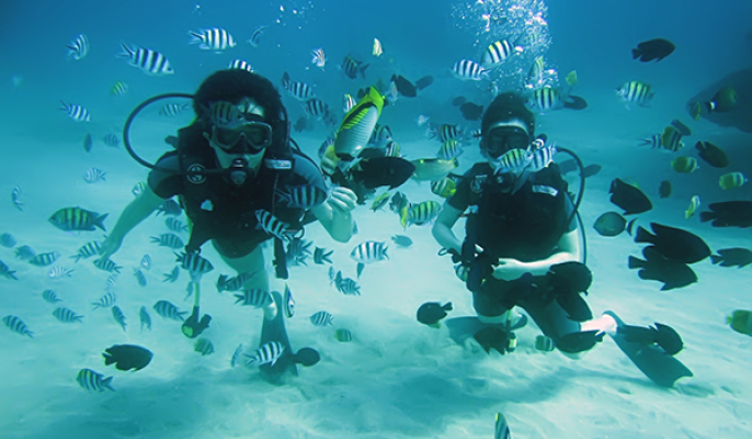 Scuba Diving