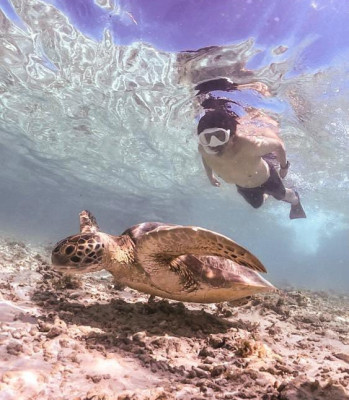 Small Group Snorkeling tour, During 5 Hours