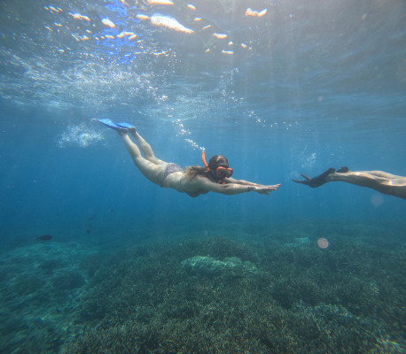 Snorkeling – Penida & Lembongan