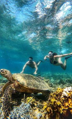 Snorkeling Spots in Lombok's: Gili Rengit, Layar, Goleng, Gede, Asahan