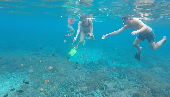 SNORKELING TRIP DISCOVER MANTA RAY