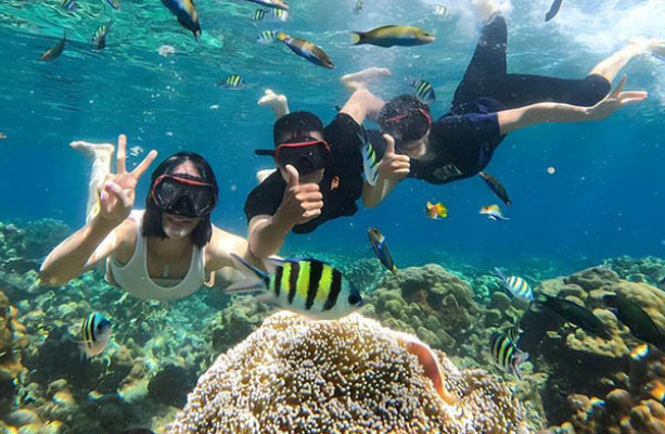 Snorkeling Trips