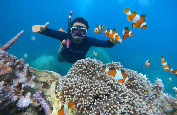Snorkeling Trips Public Share