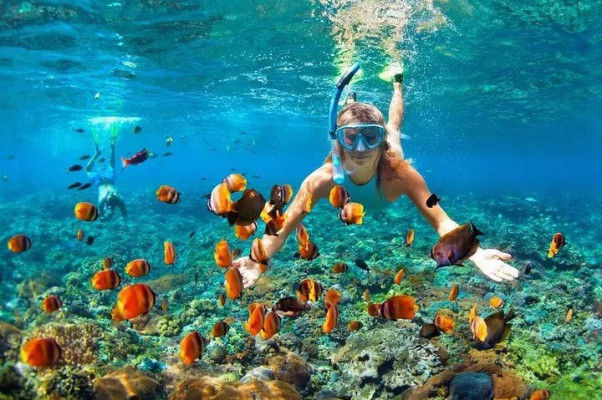 Snorkling Gili’s Tour