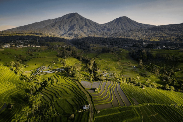 Tabanan Scenic and Historical Tour