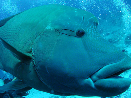 Tulamben