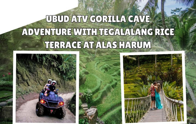 Ubud ATV Gorilla Cave Adventure with Tegalalang Rice Terrace at Alas Harum