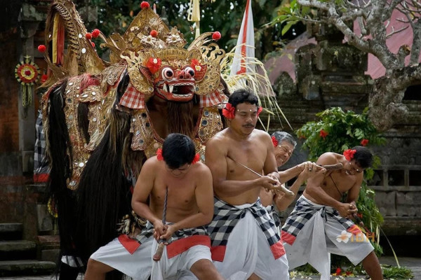 Ubud Central Bali Tour