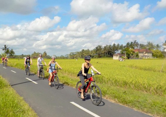 Ubud E-Bike Tour
