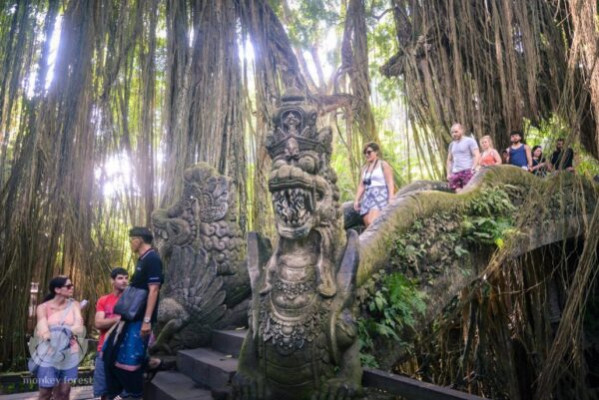 Ubud Fullday Tour