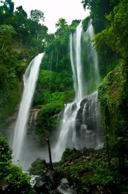 Ubud Highlight: Waterfalls, Temples and Rice Terraces