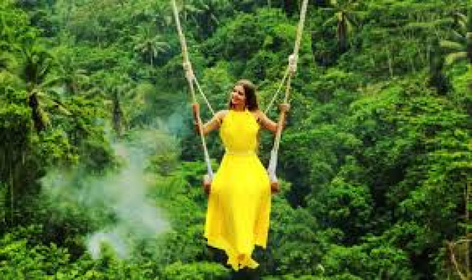 Ubud Jungle Swing & Rice Terrace