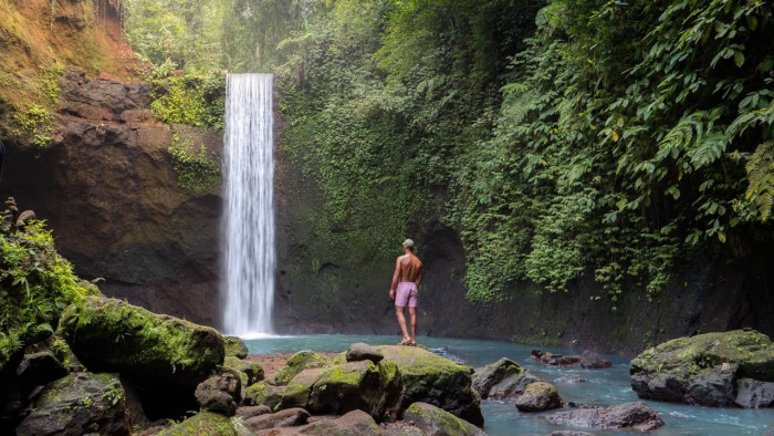 Ubud Nature & Waterfall Tour