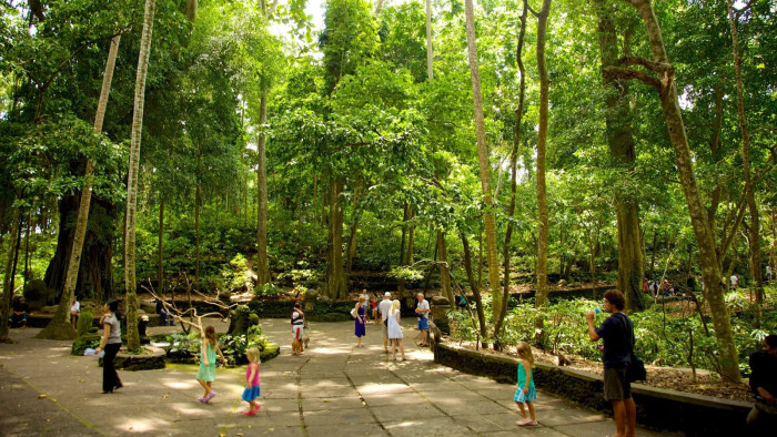 Ubud Tour