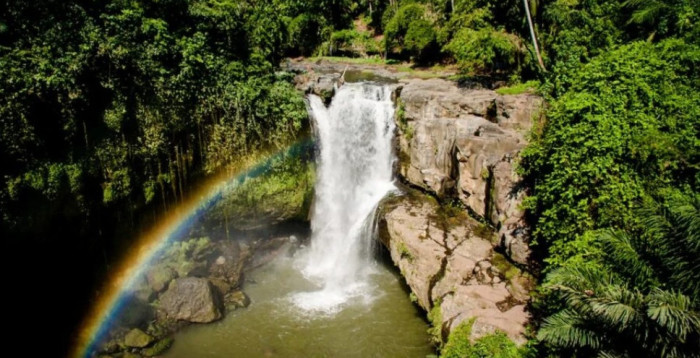 Ubud Waterfall Exploration