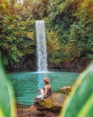 Ubud Waterfall Half Day Tour