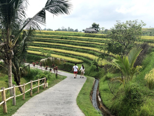Unesco Heritage Jatiluwih Tour