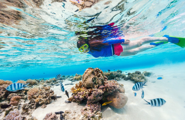 West Trip + Snorkeling (All-Inclusive)